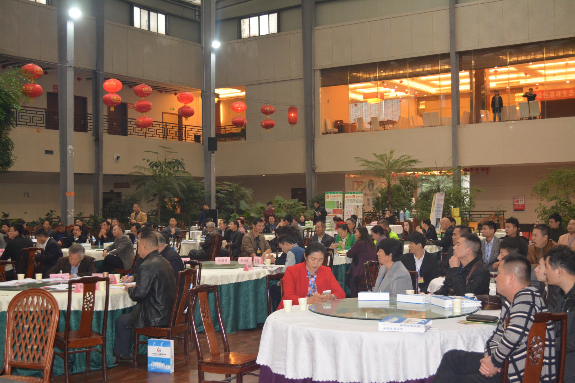 会议现场.jpg
